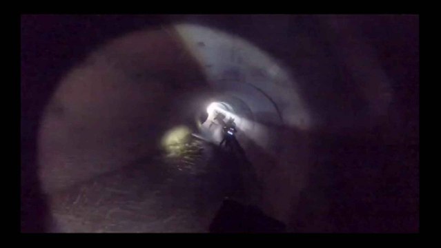 El rescate del corzo llevado a cabo por los Bomberos de Ponferrada.