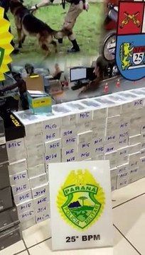 Em Umuarama, caminhonete é abandonada com centenas de celulares e cigarros eletrônicos