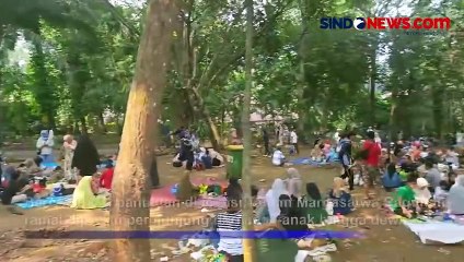 Descargar video: Kebun Binatang Ragunan Dibanjiri Pengunjung di Libur Kenaikan Isa Almasih