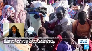 Sudan: UN warns of risk of starvation in Darfur