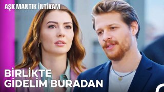 Reddedemeyeceğin Bir Teklifim Var - Aşk Mantık İntikam