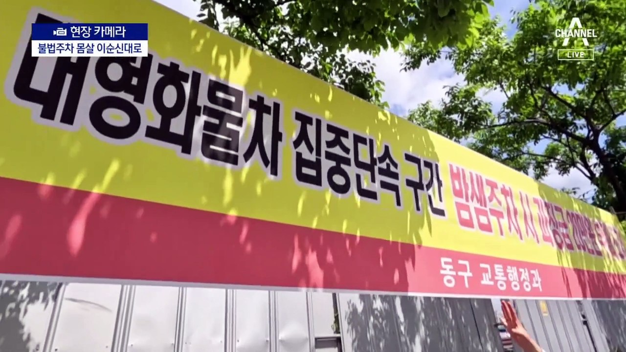 [현장 카메라]불법주차 몸살 1800억 이순신대로