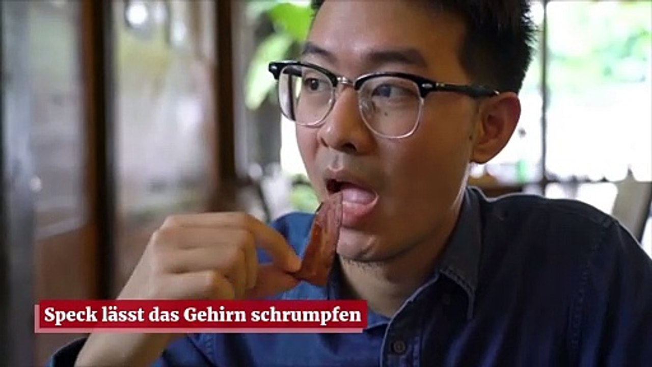 Speck lässt das Gehirn schrumpfen