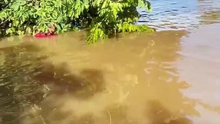 Corpo de Bombeiros resgate idoso em enchente no Rio Grande do Sul