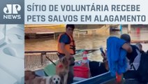 Moradores realizam resgate de animais em Canoas (RS)