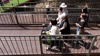[경기] 화성시, 보행 약자 배려한 '왕배산 무장애나눔길' 개장 / YTN