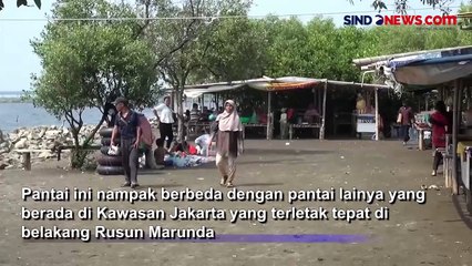 Liburan Murah di Jakarta, Pantai Marunda Diserbu Pengunjung