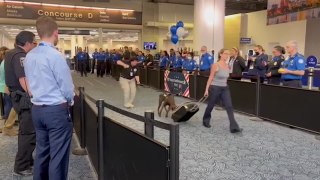 Se jubila el primer perro detector de explosivos de la TSA del aeropuerto internacional Mitchell