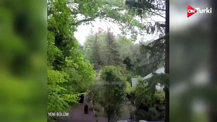 مسلسل المتوحش الحلقة 33 - اعلان 3 الرسمي مترجم