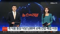 개 식용 농장·식당 5,600여곳에 전업·폐업 지원