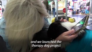 Therapy dogs calm nerves of anxious travellers in Istanbul airport
