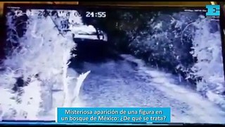 Misteriosa aparición de una figura en un bosque de México