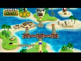 New Super Mario Bros.Wii 41