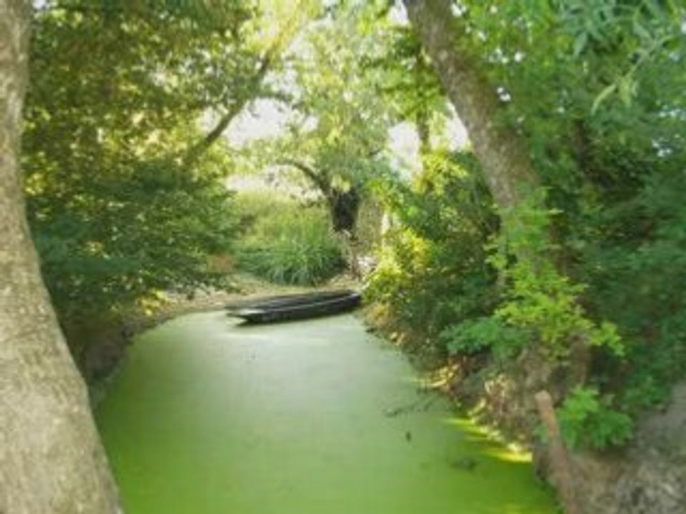 Le marais poitevin