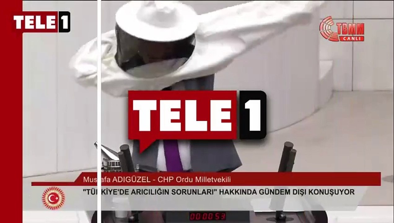 CHP’li vekil Meclis’te arıcı tulumu giydi, AKP’lilere ‘duman’ sıktı: Sahte bal…