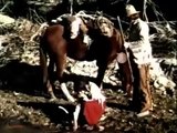 Grito de Sangre Apache /Series y Películas del Oeste/Westen en Español