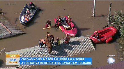 Record foi a primeira emissora a exibir resgate do Cavalo Caramelo no RS