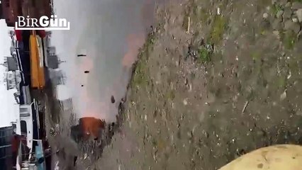 Ordu'da çevre katliamı