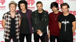 Zayn Malik claims One Direction resented each other