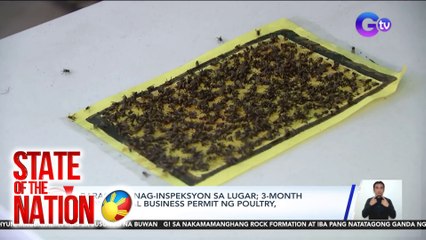 Langaw, problema uli ng mga residente ng Sitio Pulang Panyo | SONA