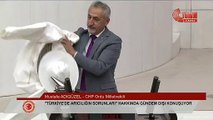 CHP'li vekil Mustafa Adıgüzel TBMM'de arıcı kıyafetiyle seslendi