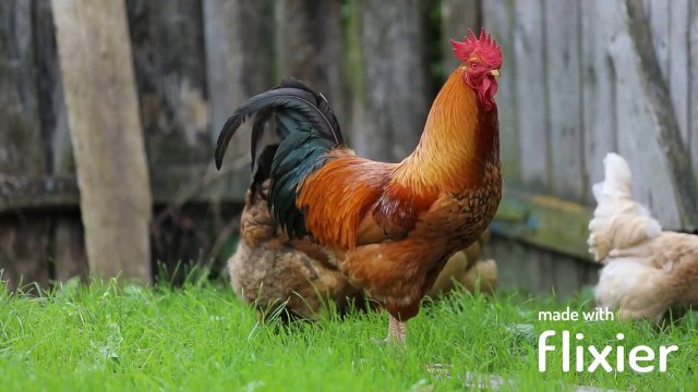 موسيقى رومانسية هادئة موسيقى هادئة تريح الاعصاب