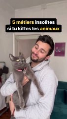 5 métiers insolites pour protéger nos animaux