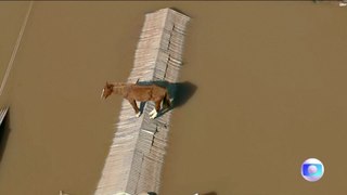 El caballo atrapado en las inundaciones en Brasil