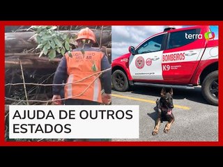 Cadela dos bombeiros do ES encontra corpo de adolescente desaparecida no RS; veja o vídeo