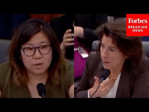 ‘Will This Rule Make Our World & Our Country Safer?’: Grace Meng Asks Raimondo About Firearm Bill