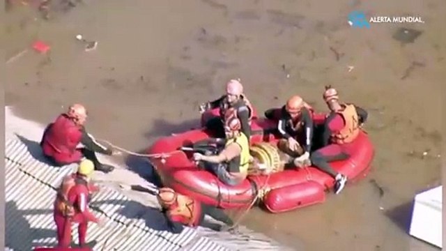El caballo varado en un techo en Canoas, Rio Grande do Sul, Brasil, finalmente fue rescatado