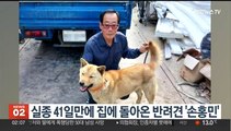 실종 41일 만에 집에 돌아온 반려견 '손홍민'