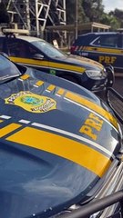 Maconha em mochilas: PRF apreende 33kg em ônibus na BR-277