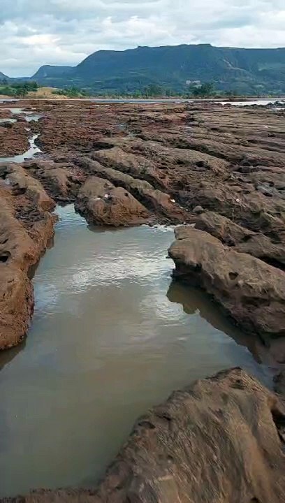Hora H do Agro: Agricultor mostra devastação em lavoura no RS
