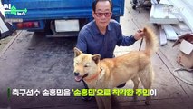 [씬속뉴스] 41일만에 20km 걸어 집 찾아온 진돗개…