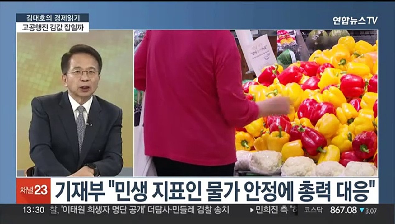 [김대호의 경제읽기] '금값' 김 할당관세…소비자 부담 낮출까?