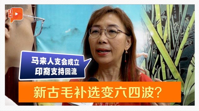 【新古毛补选】什么原因？希盟赢面从五五波变六四波？