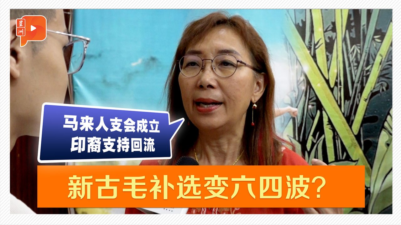 【新古毛补选】什么原因？希盟赢面从五五波变六四波？