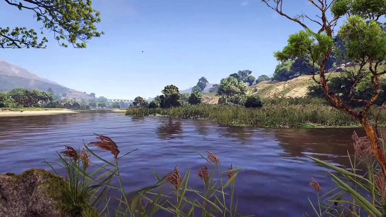 Pond ambience
