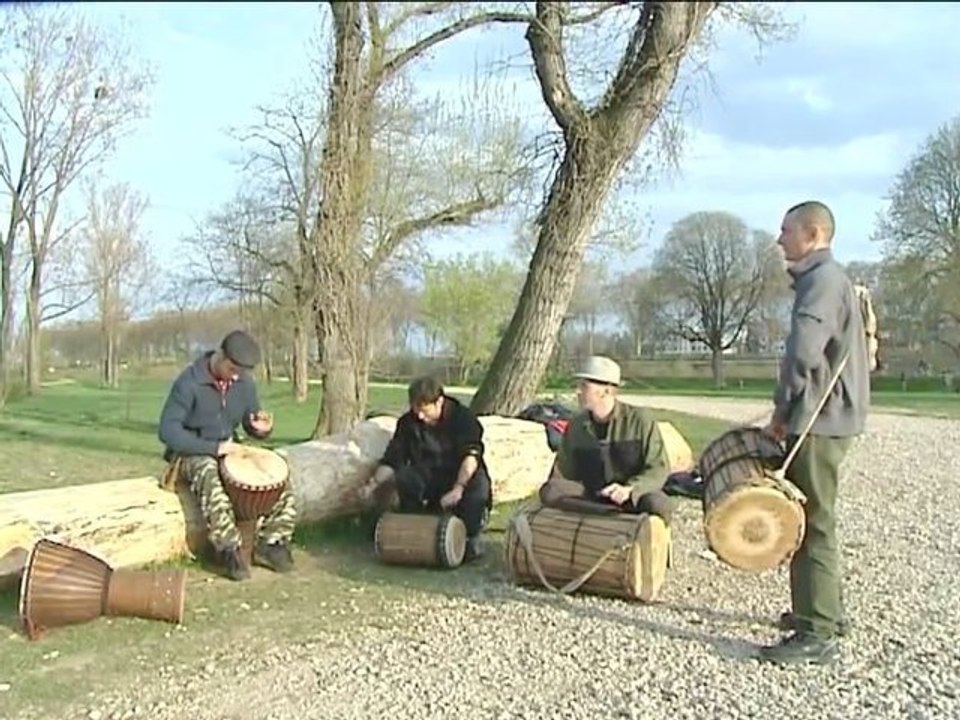 Petit boeuf entre amis... Percussions djembe