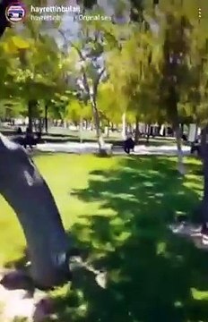 Sokakların köpeklerden temizlendiğini gören sözde hayvansever ağza alınmayacak hakaretler savurdu!