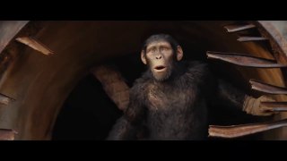 Kingdom Of The Planet Of The Apes Movie (Featurette)