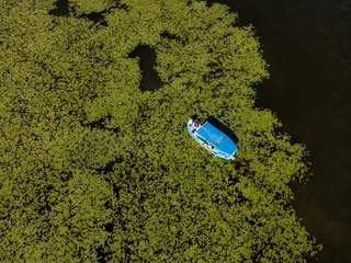Beyşehir Gölü nilüferlerle süslendi Tekne turlarına ilgi arttı!