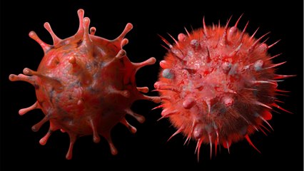 "FLiRT": Gleich zwei neue Covid-Varianten verbreiten sich in Amerika