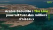 “The Line”, le gratte-ciel géant de 170 km actuellement en construction dans le désert saoudien pourrait tuer des milliers d’oiseaux