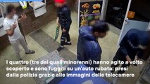 Baby rapinatori con machete in azione nella pizzeria a Bologna. Il video choc