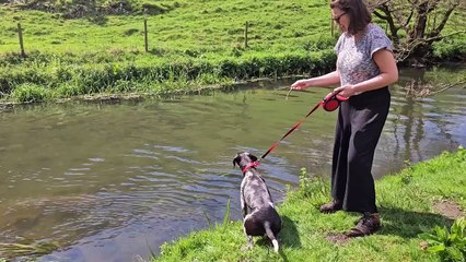 Woman is dragged into river while playing with her excited dog
