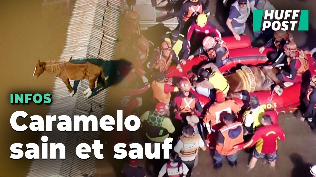 Le sauvetage délicat d’un cheval piégé par les inondations au Brésil