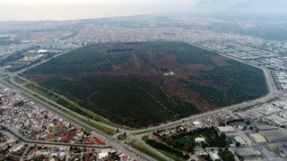 Antalya'nın akciğeri doğanın son kalesi: Zeytinpark