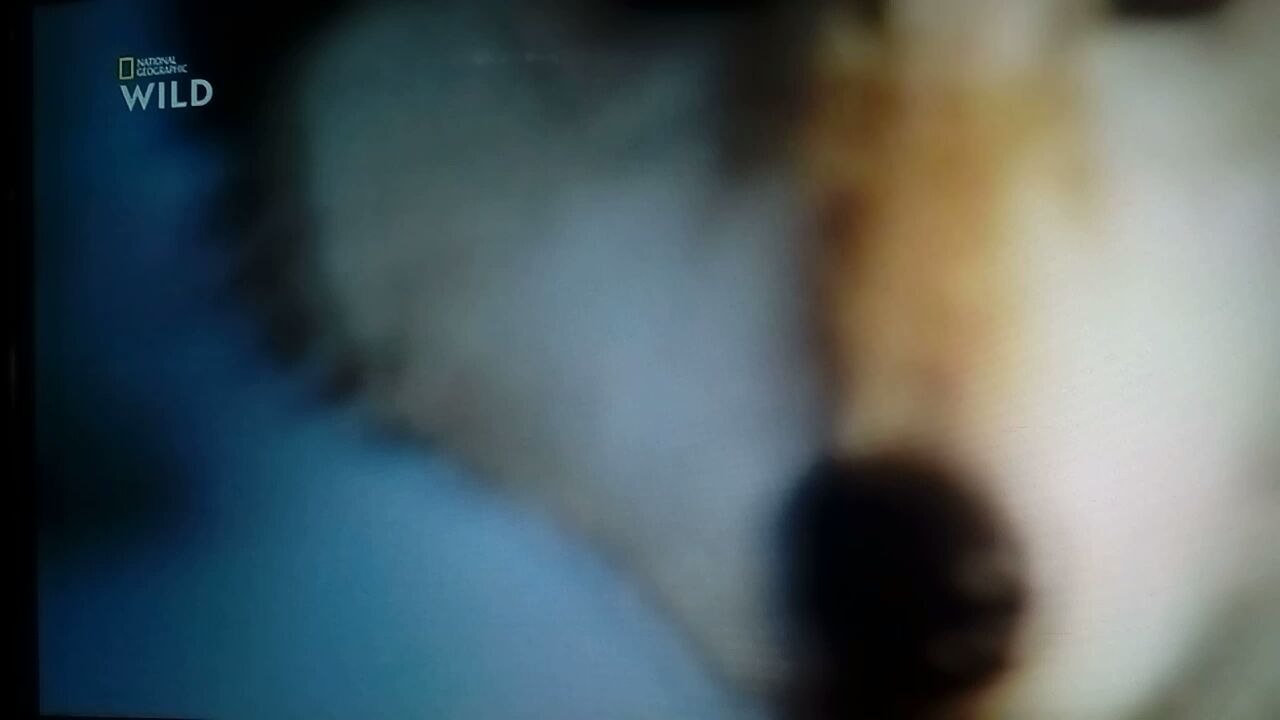 Mon ami Casey S04E01